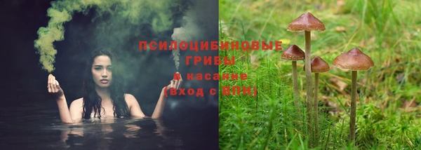 2c-b Михайловка