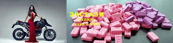 стафф Михайловск