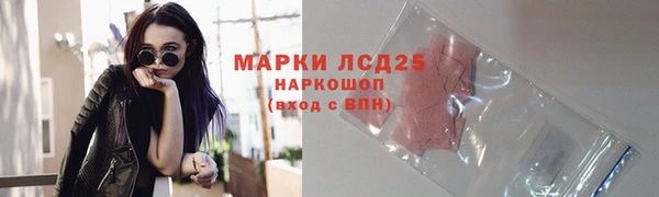 стафф Михайловск