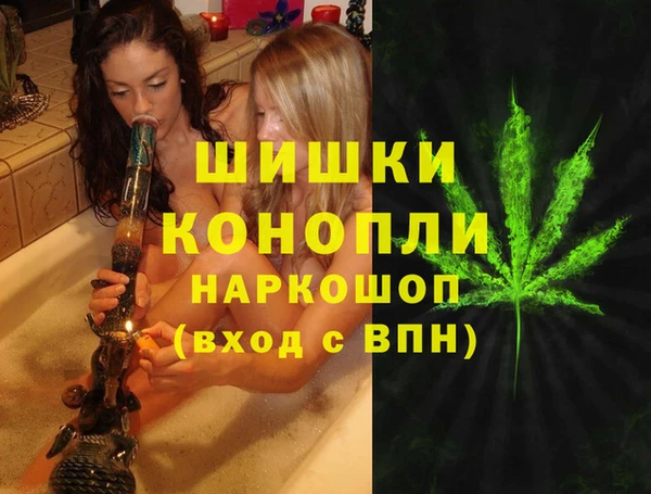 стафф Михайловск
