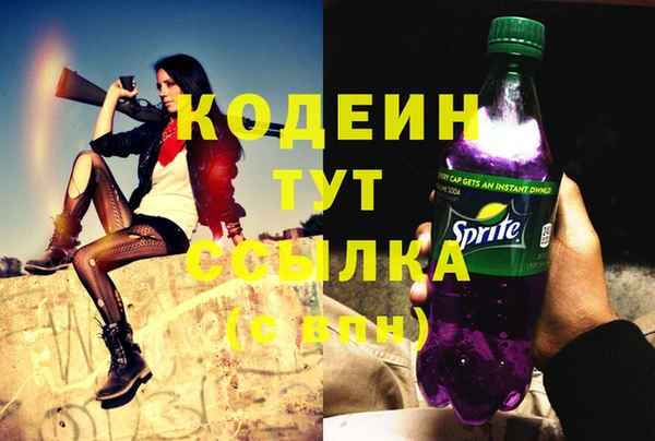 гидра Алагир