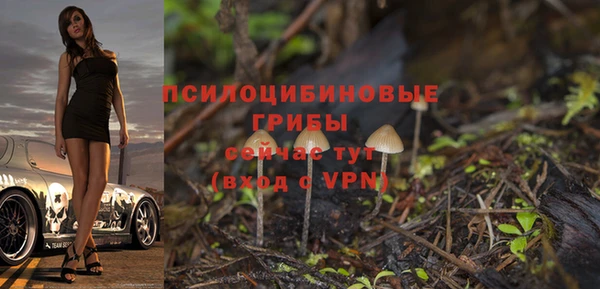 2c-b Михайловка