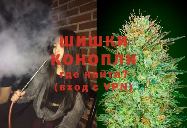 стафф Михайловск