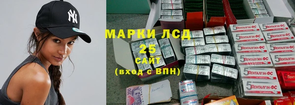 стафф Михайловск